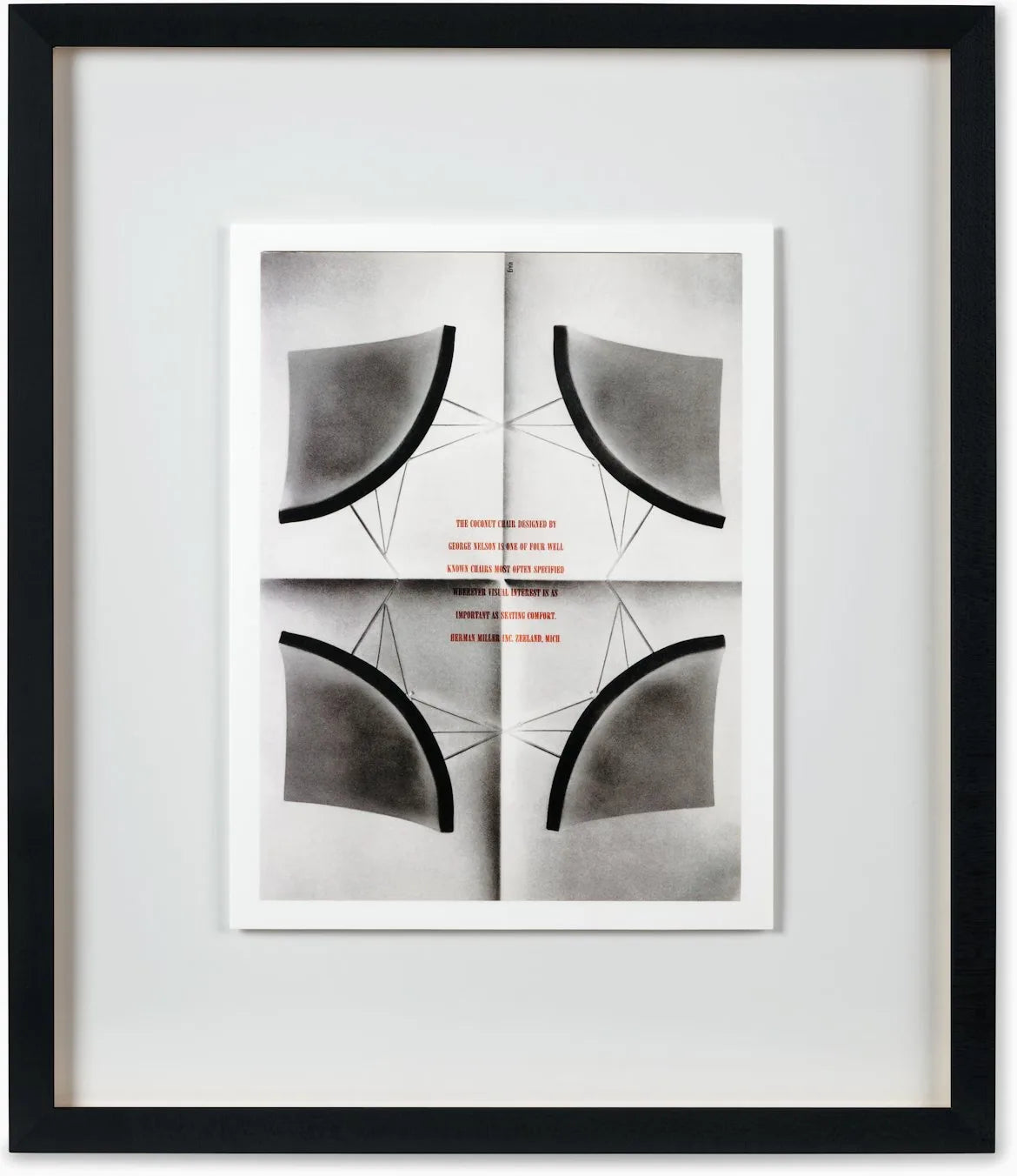 Four Coconuts Print