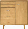 Nelson Basic Cabinet Series - 5-Drawer with Door