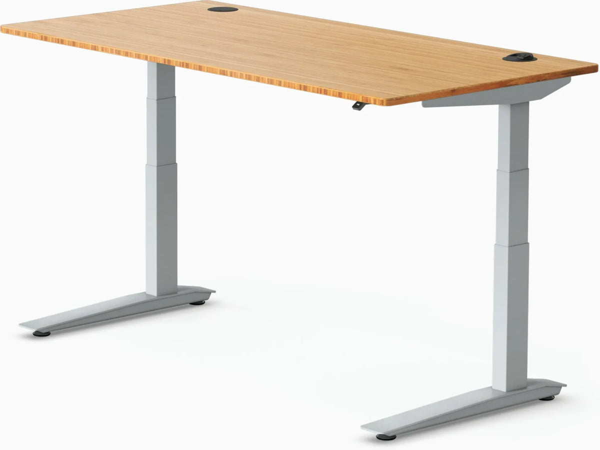 Jarvis Bamboo Standing Desk, Rectangle