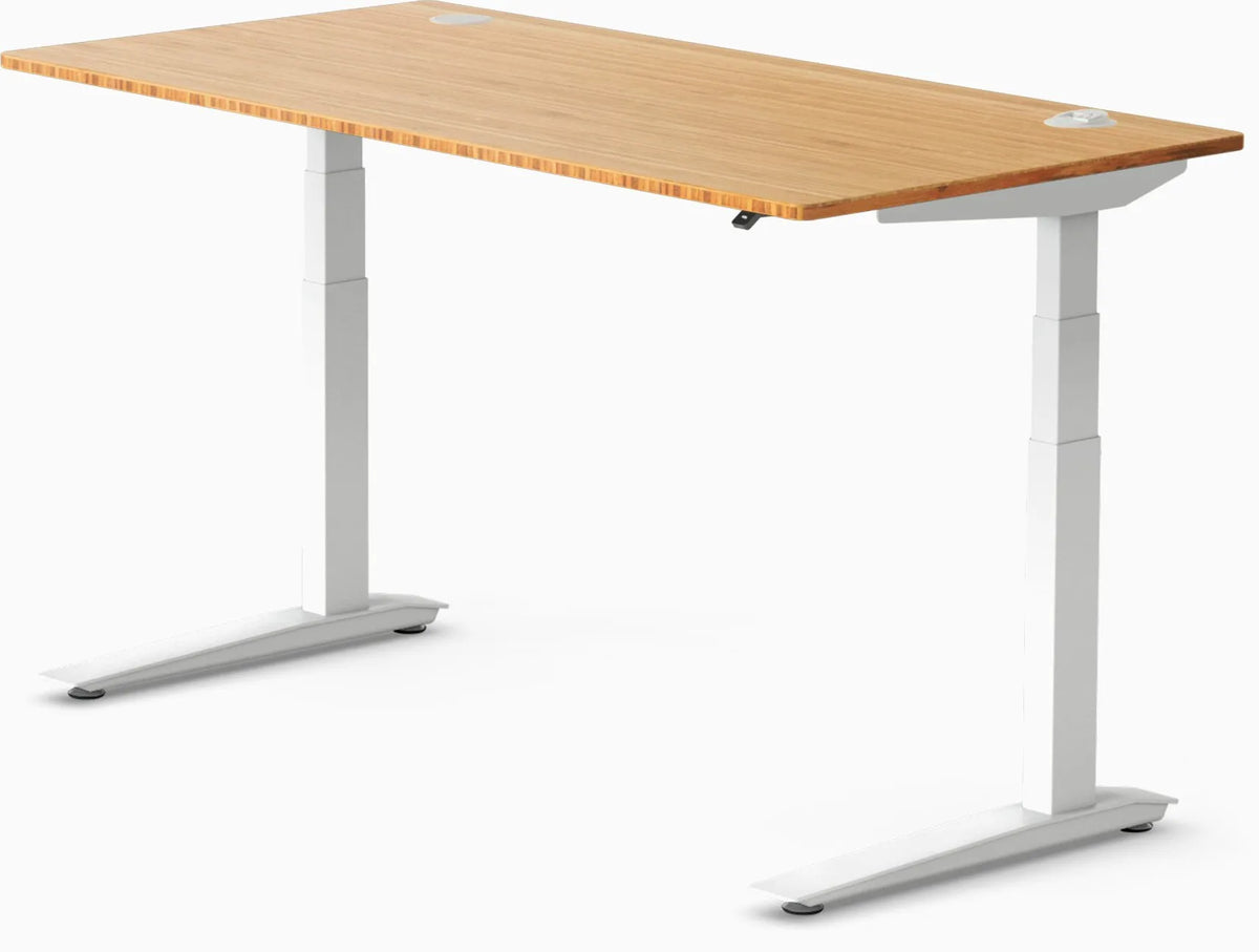Jarvis Bamboo Standing Desk, Rectangle
