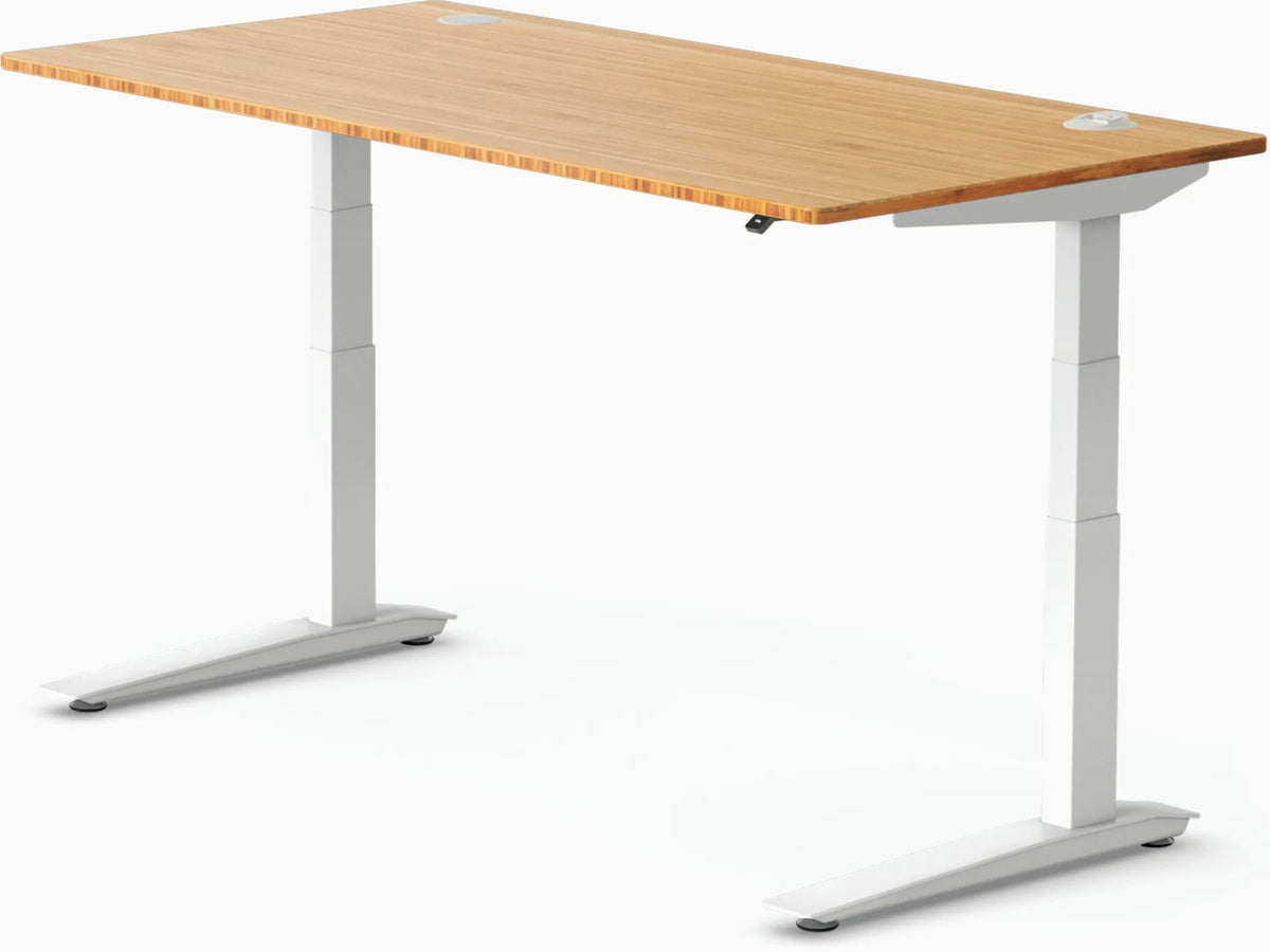 Jarvis Bamboo Standing Desk, Rectangle