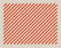 Steps Rug by Alexander Girard