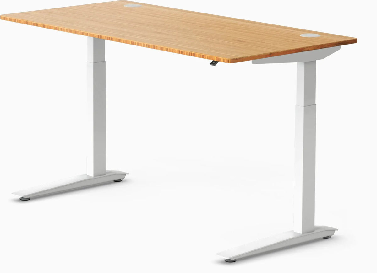 Jarvis Bamboo Standing Desk, Rectangle