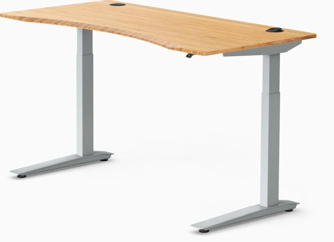 Jarvis Bamboo Standing Desk, Rectangle
